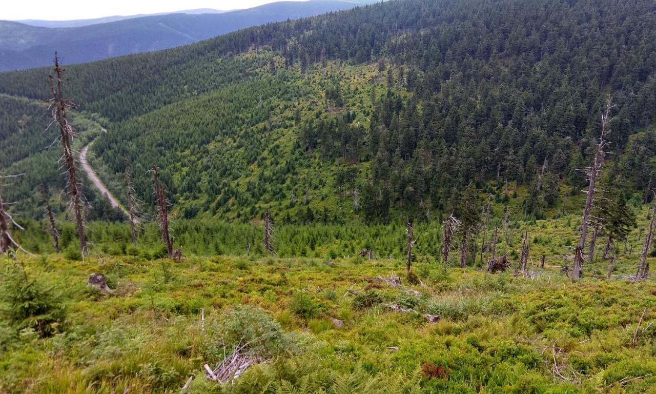 Готель U Dvou Studni Лоучна-над-Десноу Екстер'єр фото